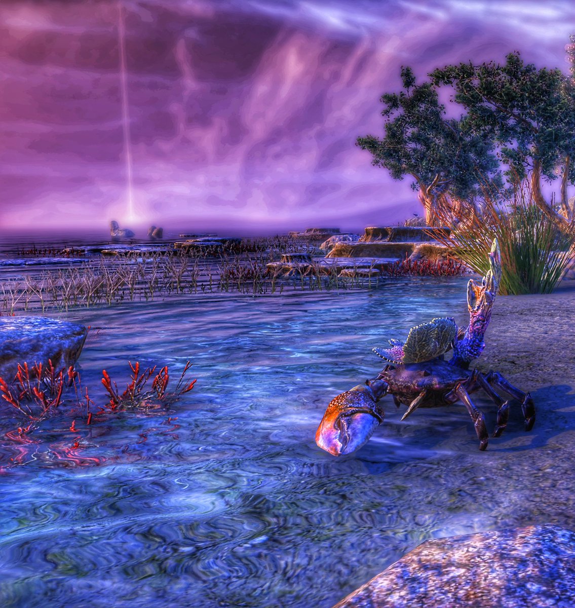 Artaeum! One of my fav places in Tamriel! 🌸✨
#ESO #ESOFam #ElderScrollsOnline