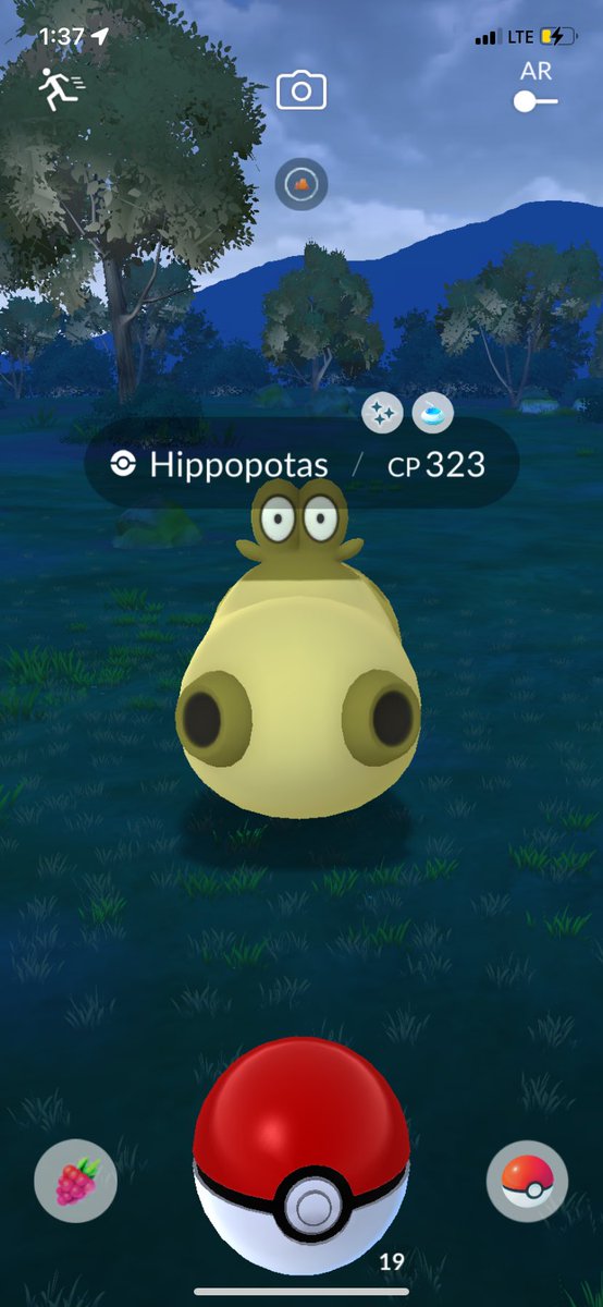 MockivePoGo's tweet image. A couple shinies yesterday! and one step closer to having the mega shiny dex! two more to go! #Pokemon #PokemonGO