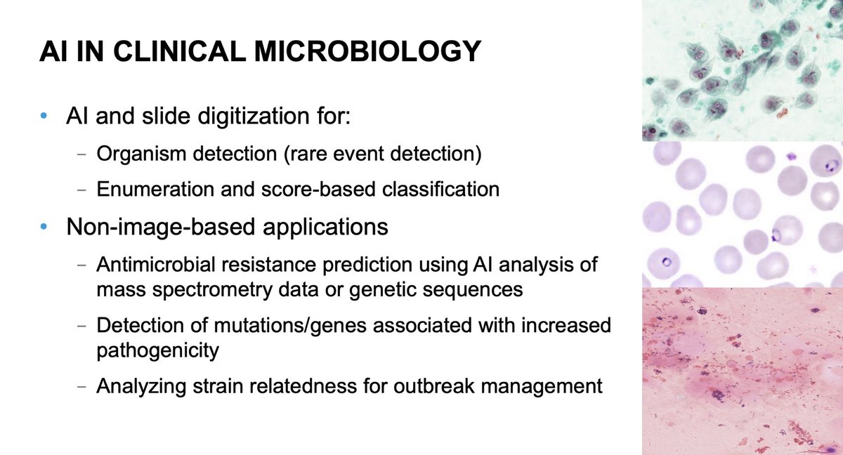 TakaMatsuo_ID's tweet photo. AI in Microbiology 

Thank you very much Dr. Bobbi Pritt @ParasiteGal @mayocliniclabs 

✍️Important to keep the “human in the loop”

#MayoClinicIDUpdates2025 @MayoClinicINFD @MayoClinicAZID #IDMedEd #IDFellow @dwchallener 

https://t.co/DmFFkCJbzA https://t.co/4Vg9VUzbvw
