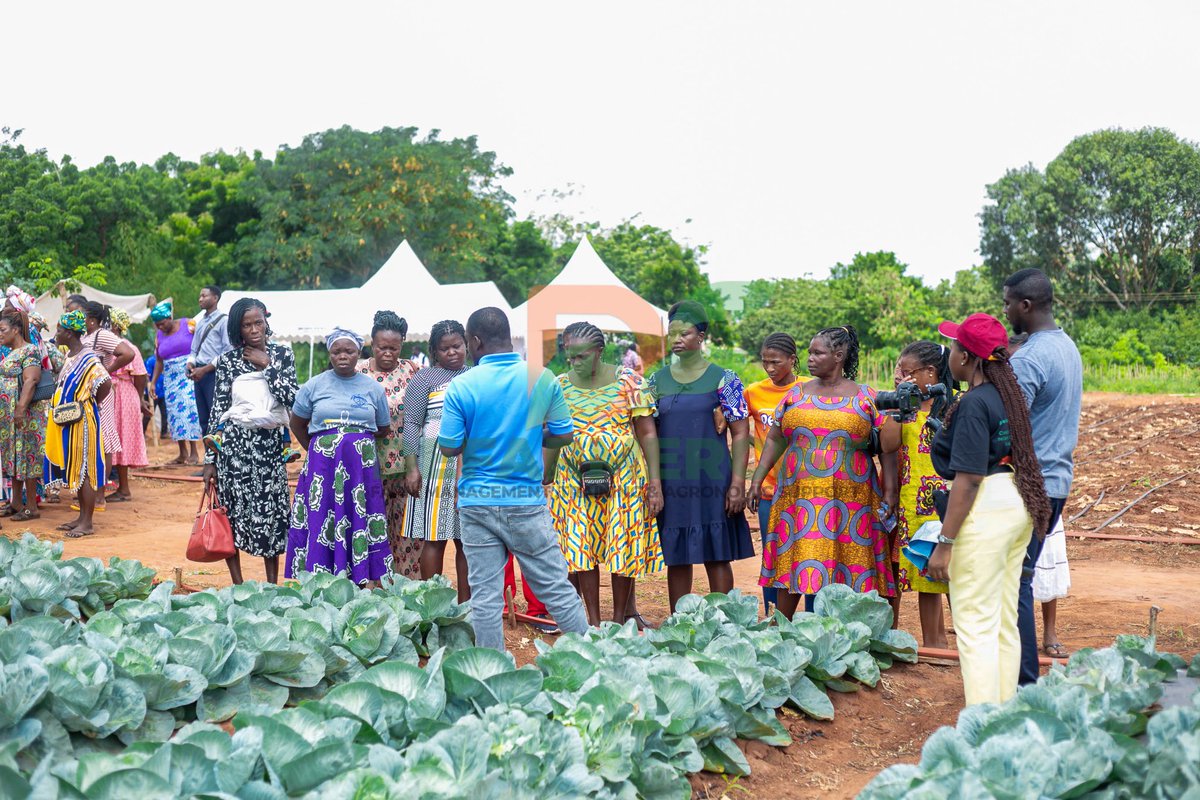 Defarmercist tweet media