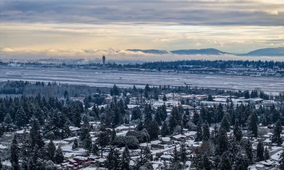 Michael Snyder tweet media