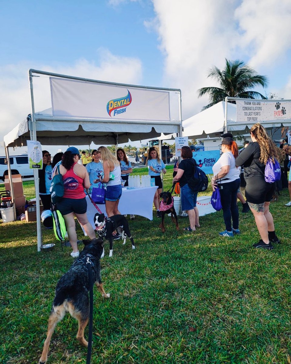 SynergyLabs's tweet photo. 𝗙𝗿𝗲𝘀𝗵 𝗯𝗿𝗲𝗮𝘁𝗵, 𝗯𝗶𝗴 𝗶𝗺𝗽𝗮𝗰𝘁! 🦷🐶🐱

This year’s VCA Walk for the Animals was a success! We were proud to sponsor the event and help raise $3,372 for the Humane Society of Broward County through our sponsorship and donations!

#HumaneSociety #WalkForTheAnimals https://t.co/GSci6WPJqv