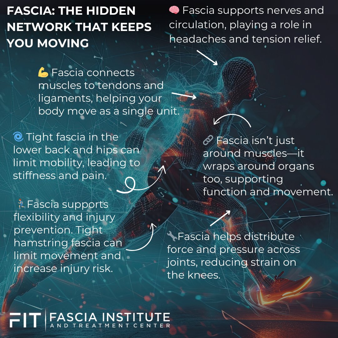 Your body’s hidden support system? Fascia. 🕸️

This stretchy web keeps everything in place and moving smoothly—but when it gets tight or dehydrated, stiffness and pain set in. Keep it healthy with movement, hydration, and release.

🔗 Learn more: fasciainstitute.org/faq-items/fasc…