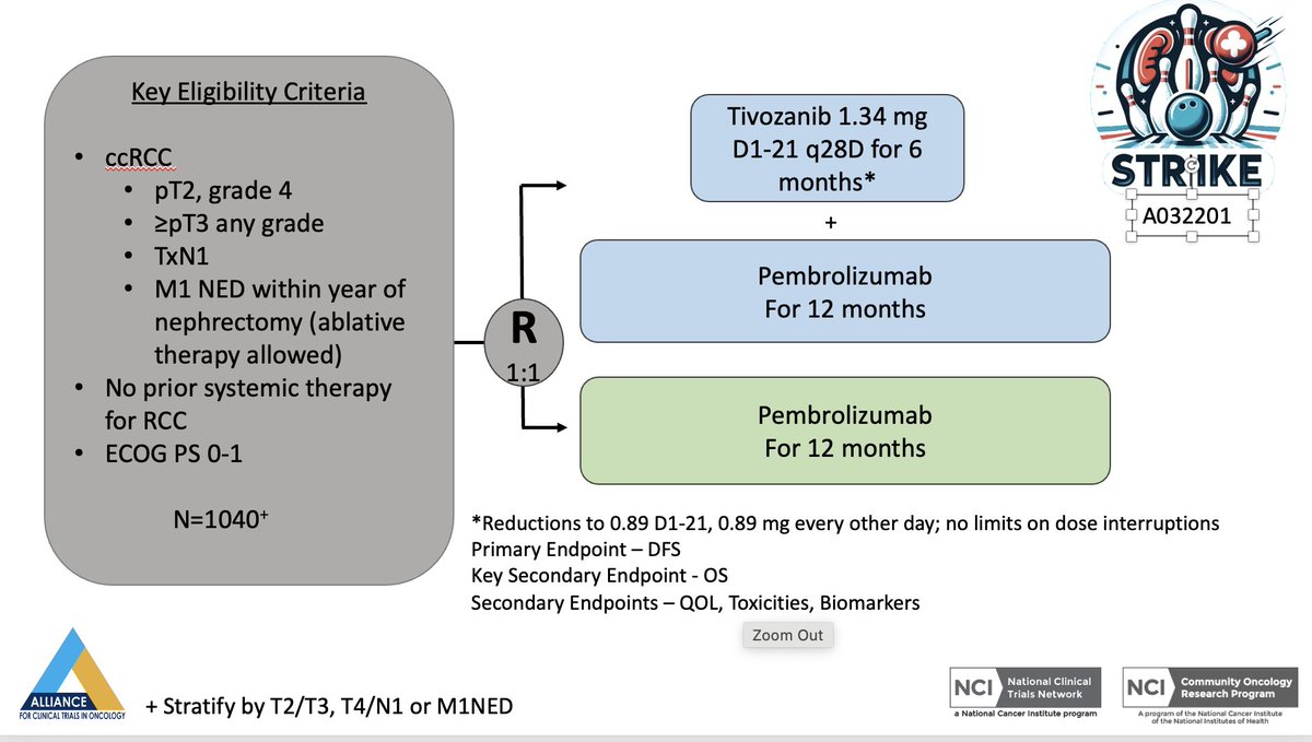 Bradley McGregor (@bradmcg04) on Twitter photo STRIKE activated; download docs today! <a href="/ALLIANCE_org/">Alliance for Clinical Trials in Oncology</a> <a href="/theNCI/">National Cancer Institute</a> Can we prevent more recurrences with addition of 6 months of Tivozanib to 1 year of pembrolizumab in patients with resected high risk ccRCC? <a href="/Daniel_J_George/">Dan George</a> <a href="/DrRosenbergMSK/">Jonathan Rosenberg MD</a> <a href="/MattGalsky/">Matt Galsky</a> <a href="/DrChoueiri/">Toni Choueiri, MD</a> STRIKE activated; download docs today! <a href="/ALLIANCE_org/">Alliance for Clinical Trials in Oncology</a> <a href="/theNCI/">National Cancer Institute</a> Can we prevent more recurrences with addition of 6 months of Tivozanib to 1 year of pembrolizumab in patients with resected high risk ccRCC? <a href="/Daniel_J_George/">Dan George</a> <a href="/DrRosenbergMSK/">Jonathan Rosenberg MD</a> <a href="/MattGalsky/">Matt Galsky</a> <a href="/DrChoueiri/">Toni Choueiri, MD</a>