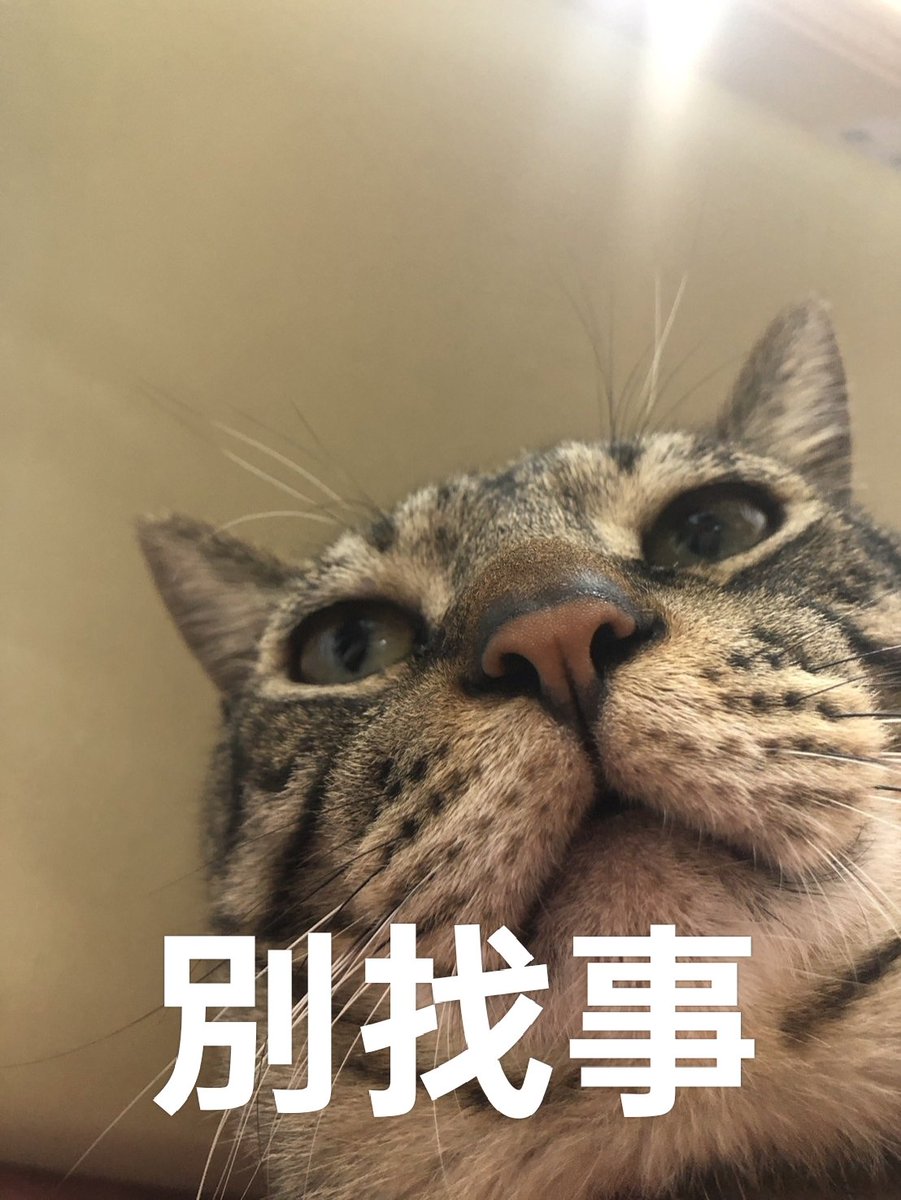 cga1896's tweet photo. 休完陪大、小鬼的長假該回去面對工作了，啊~~~~~~~~~ https://t.co/jJkGniUiU8