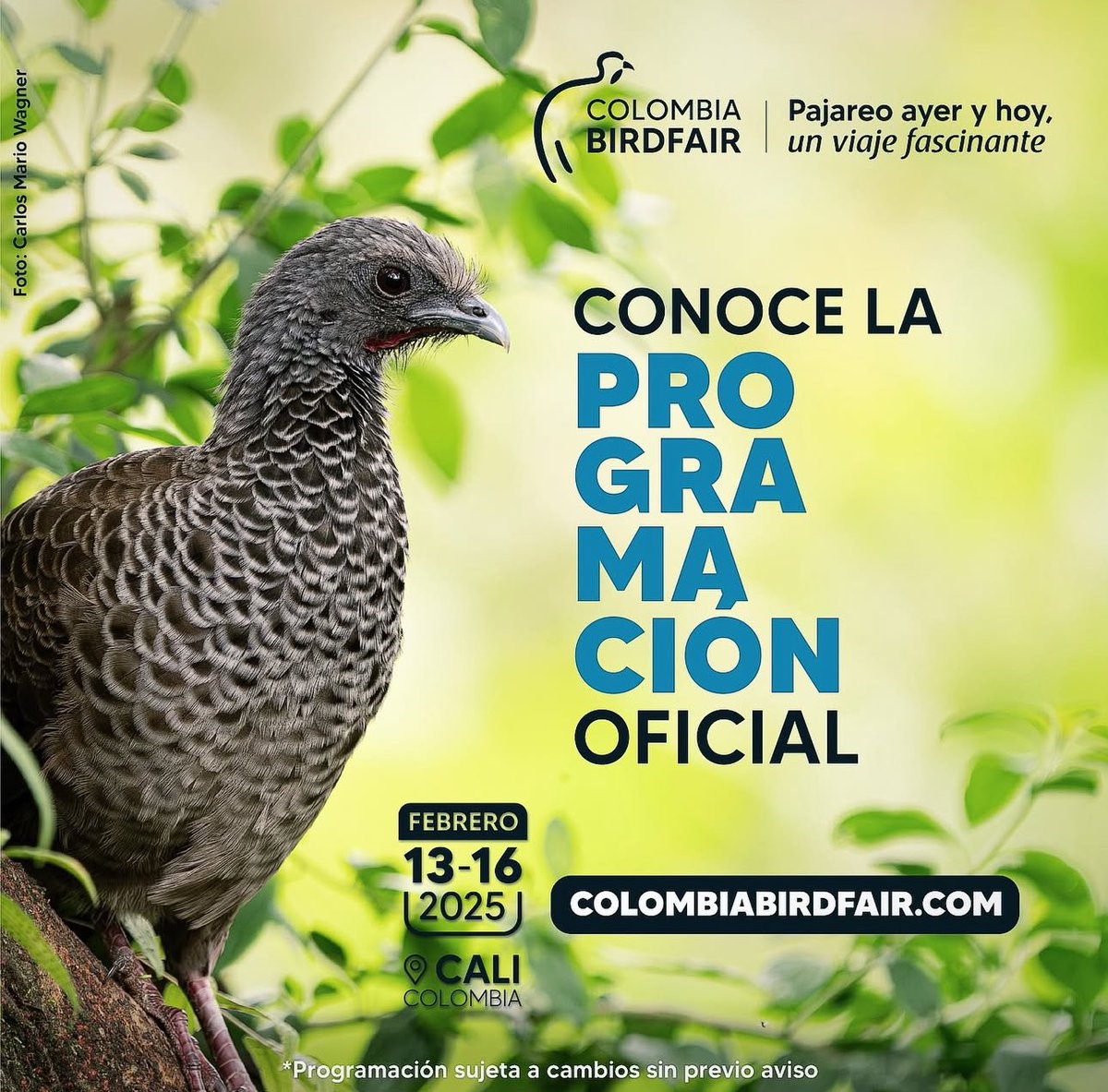 Toda la programación oficial de #ColombiaBirdfair puedes consultarla en nuestro sitio web colombiabirdfair.com 

Gracias a <a href="/CvcAmbiental/">CVC</a> <a href="/AlcaldiaDeCali/">Alcaldía de Cali</a> <a href="/SecTurismoCali/">Secretaría de Turismo de Cali</a> <a href="/AudubonAmericas/">Audubon América Latina y El Caribe</a> <a href="/zoologicodecali/">Zoológico de Cali</a> por hacer posible la Feria Internacional de Aves de Colombia.