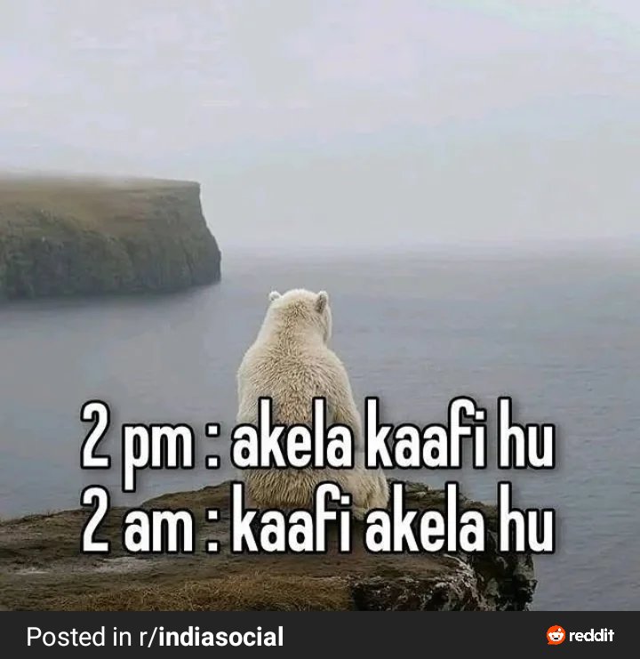 chuphojakeede's tweet photo. @elonmusk This is us Elon bhai https://t.co/oZpWezipQU
