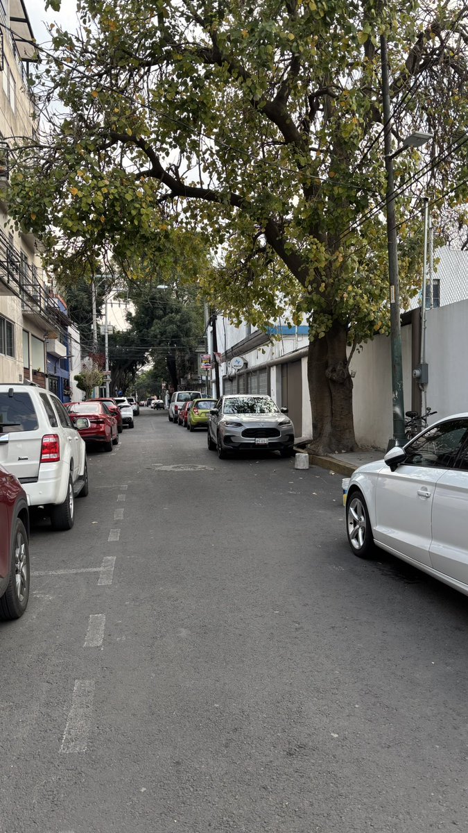 arelitronic's tweet photo. Pues regresaron los franeleros y los malos policías @BJAlcaldia @CNocheBuenaBJ @ayudaBJ y las arañas de parquímetros no alcanzan 🤦🏻‍♀️🤦🏻‍♀️🤦🏻‍♀️🤦🏻‍♀️ y más 🤦🏻‍♀️🤦🏻‍♀️🤦🏻‍♀️ https://t.co/ccO1CYWlip
