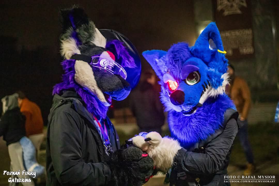 I forgot to post this Photo i have with <a href="/KuroPuro_x3/">Kuro 黒</a> but it looks too cool to not share it.

Photo made by Rafał Mysior during Poznań Furry Gathering event