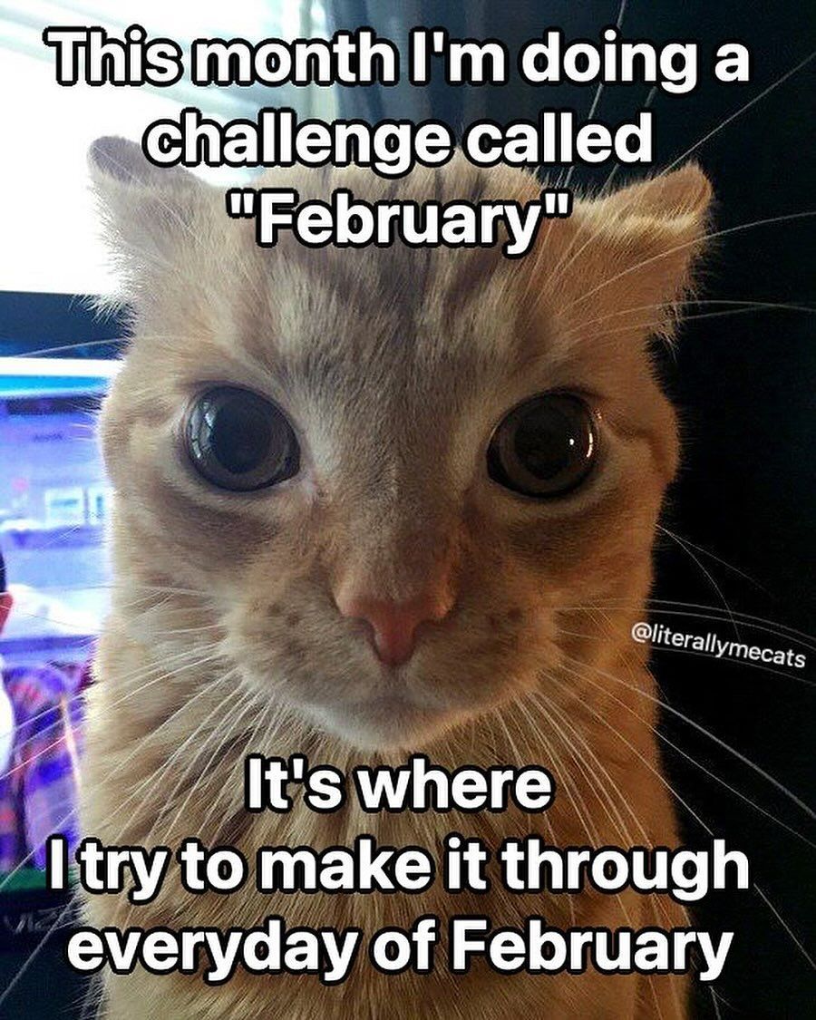 hourly_shitpost's tweet photo. https://t.co/kjbm8DkLc5
