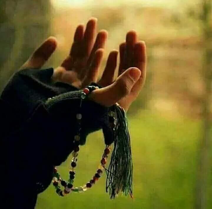 من يحب السلامه والستر والنجاة
يلتزم في صلاته يدرك اللي يبي

راس مال الاوادم بالحياة الصلاة
اخر اوصاه وصانا عليها النبي
االلهمَّﷺصَلِّﷺوَسَـــلِّمْﷺوَبَارِكﷺْعلىﷺنَبِيِّنَـــاﷺمُحمَّدﷺﷺﷺﷺﷺﷺ
اللهمَّﷺصَلِّﷺوَسَـــلِّمْﷺوَبَارِكﷺْعلىﷺنَبِيِّنَـــاﷺمُحمَّدﷺ