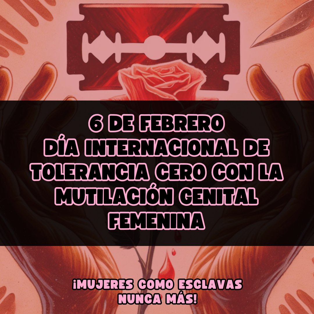 Tejido Obrero 8+ tweet media