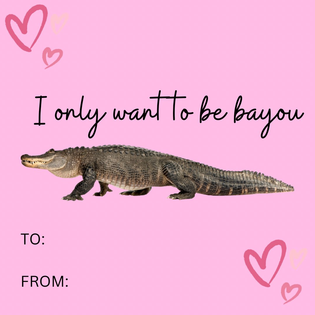 Tag someone special 💝🐊💌🤭🩷