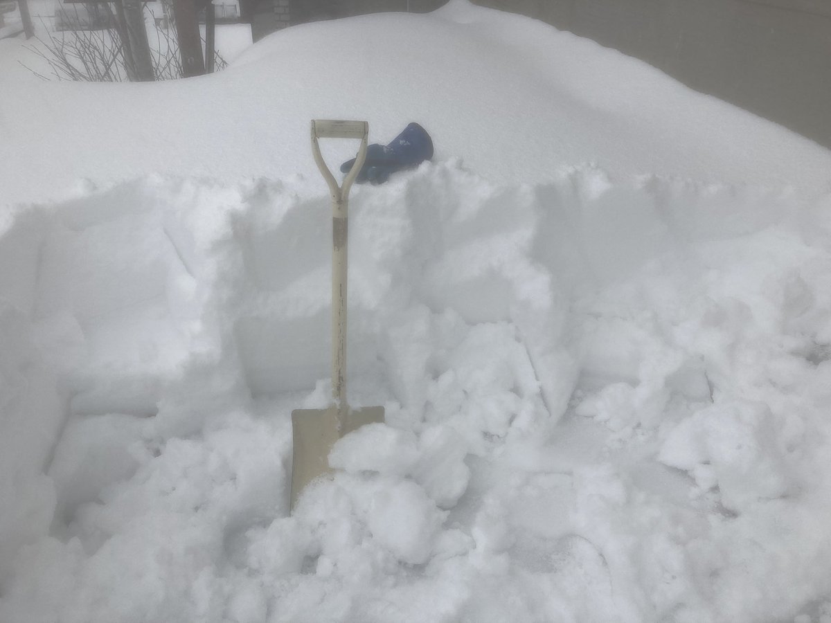 Kanako Kase tweet media