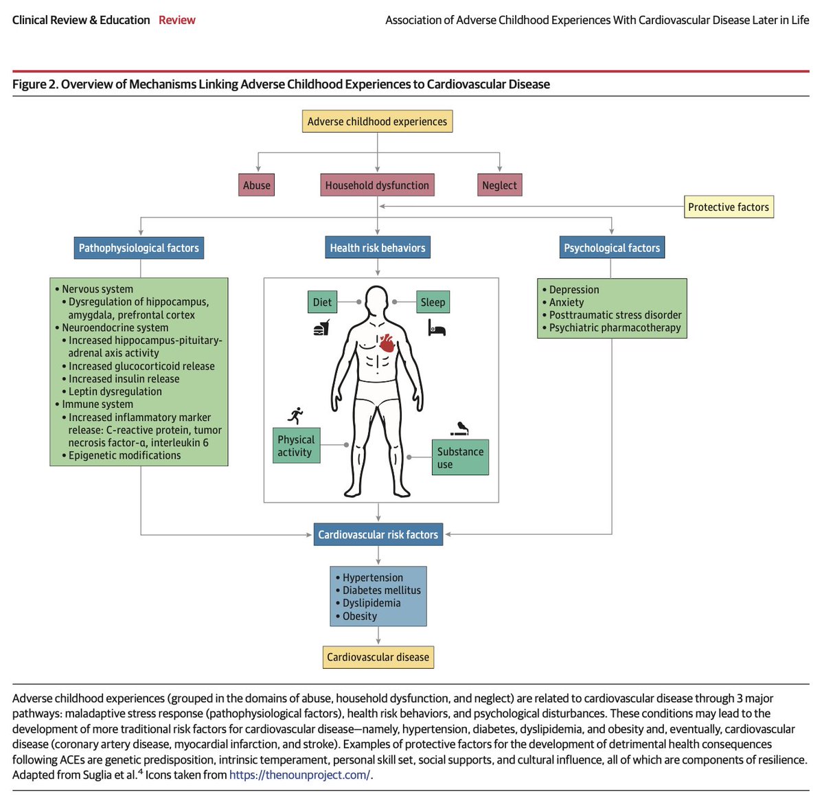 Adverse childhood experiences are linked to cardiovascular disease in adulthood. It's really important to understand that trauma can have such a powerful impact on long-term health. 

Learn more here! ♥︎ jamanetwork.com/journals/jamac…