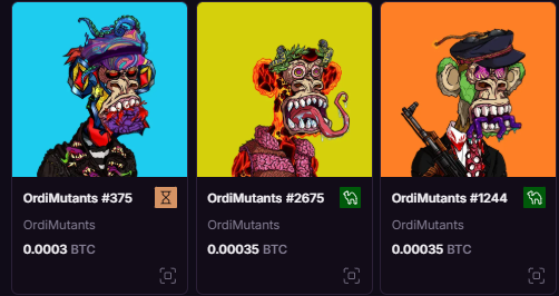 squashBTC's tweet image. fund my degen habits @OrdiMutants