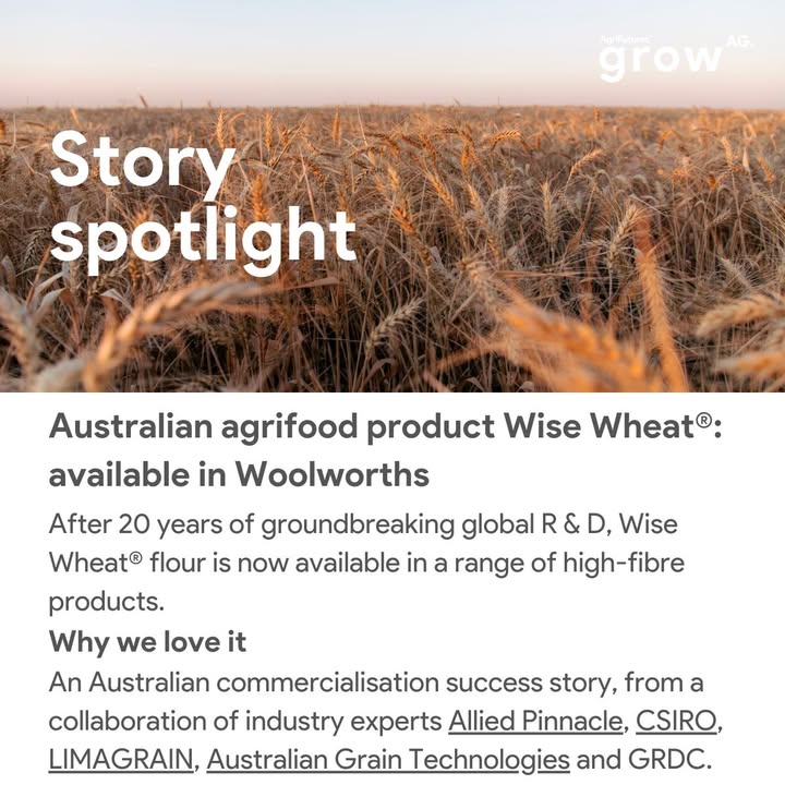 AgriFutures growAG (@growagglobal) on Twitter photo Whatβs been happening the last month in tech and innovation? π
π Opp feature- @NuFiba: bit.ly/4jNFXSI
π Research- <a href="/meatlivestock/">Meat & Livestock Australia</a>: bit.ly/3Q6ppaF
π Upcoming event- <a href="/evokeAG/">AgriFutures evokeAG</a>: bit.ly/4clLRGl
π Story spotlight- Wise Wheat: bit.ly/42L39uC Whatβs been happening the last month in tech and innovation? π
π Opp feature- @NuFiba: bit.ly/4jNFXSI
π Research- <a href="/meatlivestock/">Meat & Livestock Australia</a>: bit.ly/3Q6ppaF
π Upcoming event- <a href="/evokeAG/">AgriFutures evokeAG</a>: bit.ly/4clLRGl
π Story spotlight- Wise Wheat: bit.ly/42L39uC