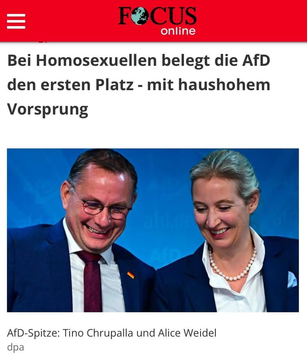 Während man Homosexuelle seitens der "bunten Vielfaltsgesellschaft" stets gegen die AfD instrumentalisiert, sieht die Wirklichkeit ganz anders aus.