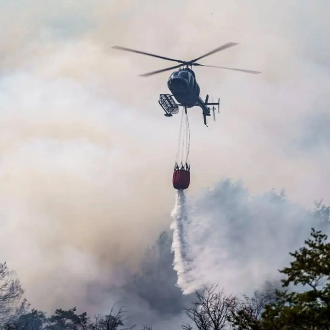 RespiraArg's tweet photo. Fuerzas a todos los Bomberos Voluntarios y Brigadistas, que se encuentran trabajando en los incendios en la Patagonia!!
Ellos siempre están aunque tengan unos salarios y equipamientos de mier..
Ojalá se los reconozca no solo hoy, sino todos los días!
Gracias Héroes!🇦🇷 https://t.co/uKqQy5rYfo
