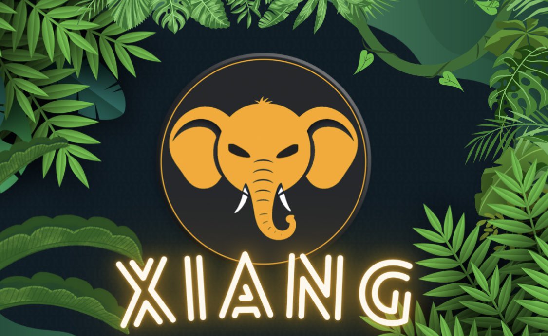 XiangToken's tweet photo. We are starting the Unity Challenge now!🔥🔥

If we get over 100 comments, likes, and retweets each, we will hold an #AirdropEvent🥳

To have your comment counted, please write #XIG in the comments below!

#XIG #AirdropCrypto https://t.co/JLavwzCfai