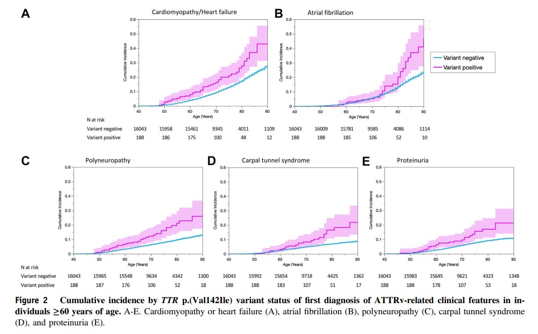 Genetics in Medicine (@gimjournal) on Twitter photo Waving the red flag. #Genome-first approach identifies important #ATTRv-related clinical features in an ancestrally diverse population bit.ly/3WNZyIs #amyloidosis #cardiomyopathy #genomicscreening <a href="/NouraAbulHusn/">Noura Abul-Husn, MD, PhD 🧬</a> <a href="/GeneticHeartDoc/">Amy R. Kontorovich, MD, PhD</a> Waving the red flag. #Genome-first approach identifies important #ATTRv-related clinical features in an ancestrally diverse population bit.ly/3WNZyIs #amyloidosis #cardiomyopathy #genomicscreening <a href="/NouraAbulHusn/">Noura Abul-Husn, MD, PhD 🧬</a> <a href="/GeneticHeartDoc/">Amy R. Kontorovich, MD, PhD</a>