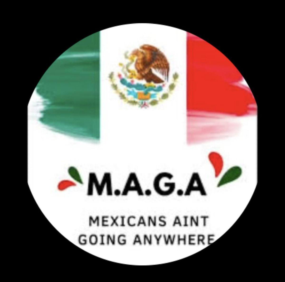 The new MAGA 😤😤😤😤😤