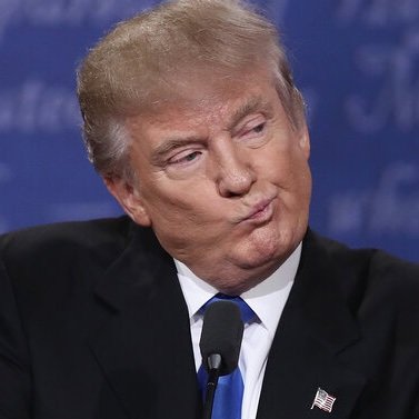 Steve n Nature tweet media