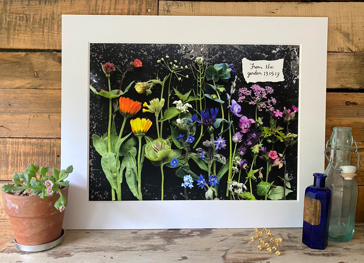 silverpebble's tweet photo. My limited edition mounted &amp; signed fine art prints are a way to have an image on display that shifts your brain away from fight/flight &amp; into relaxation mode-it will  alter your brain activity for the better when you see it.

My shop will close tmrw 11pm.
Link in tweet above👆🌿 https://t.co/tiznNhRPY4