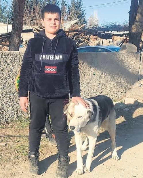 UNUTMA | Kahramanmaraş'ta depremde ailesini kaybeden 12 yaşındaki Çınar'ı enkazdan kurtaran köpek Alex'i zehirleyenleri unutma!

#6Şubat2023