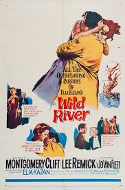 📽️: Wild River (Rio Violento) 🇺🇸
📅: 1960
🎬: Elia Kazan
💾:  10,5 GB (BRrip 1080p)
🔗: drive.google.com/file/d/16eI-vy…