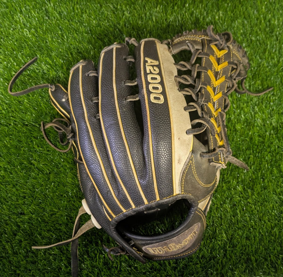 Jimmy Lonetti tweet media