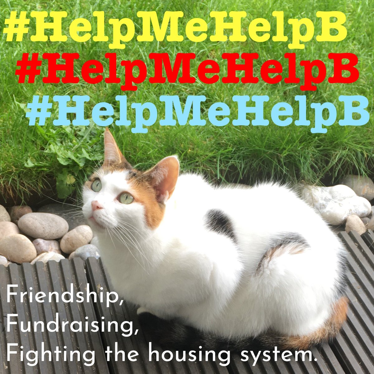 RosieJamesie's tweet image. Tell you what, lads. It&apos;s almost as much of a hellscape out there as it is in here! I&apos;m trying to help my friend survive it. Here&apos;s our #Substack helpmehelpb.substack.com 
#HelpMeHelpB #Homelessness #DisabilityRights #fundraising #Activism #EhlersDanlosSyndrome #EDS #SocialHousing