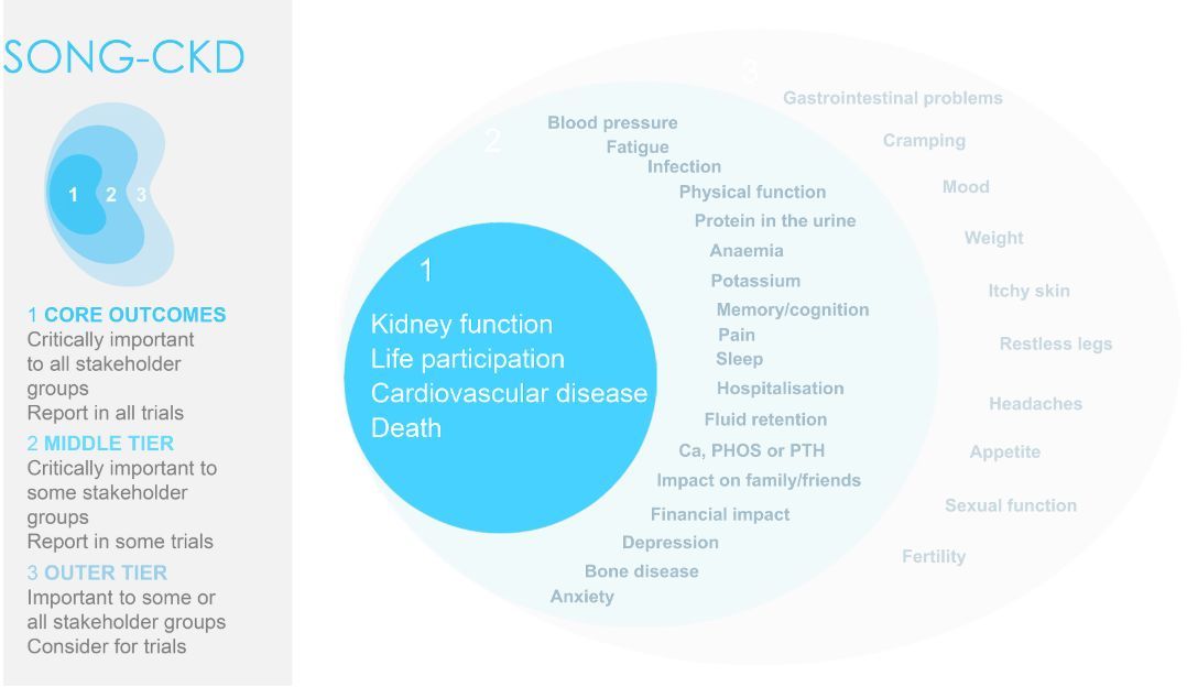 AJKD (@ajkdonline) on Twitter photo A Core Outcome Set for Trials in CKD: Report of the Standardized Outcomes in Nephrology–Chronic Kidney Disease (SONG-CKD) Stakeholder Workshops
bit.ly/4gmbwzX
<a href="/song_initiative/">SONG</a> <a href="/MagdalenaMadero/">Magdalena Madero</a> <a href="/nevangelidis/">Nicole Evangelidis</a> <a href="/Sautenet/">Sautenet Bénédicte</a> @ameliebjean <a href="/YJCho16/">Yeoungjee Cho</a> <a href="/allisonjaure/">Allison Jauré</a> A Core Outcome Set for Trials in CKD: Report of the Standardized Outcomes in Nephrology–Chronic Kidney Disease (SONG-CKD) Stakeholder Workshops
bit.ly/4gmbwzX
<a href="/song_initiative/">SONG</a> <a href="/MagdalenaMadero/">Magdalena Madero</a> <a href="/nevangelidis/">Nicole Evangelidis</a> <a href="/Sautenet/">Sautenet Bénédicte</a> @ameliebjean <a href="/YJCho16/">Yeoungjee Cho</a> <a href="/allisonjaure/">Allison Jauré</a>
