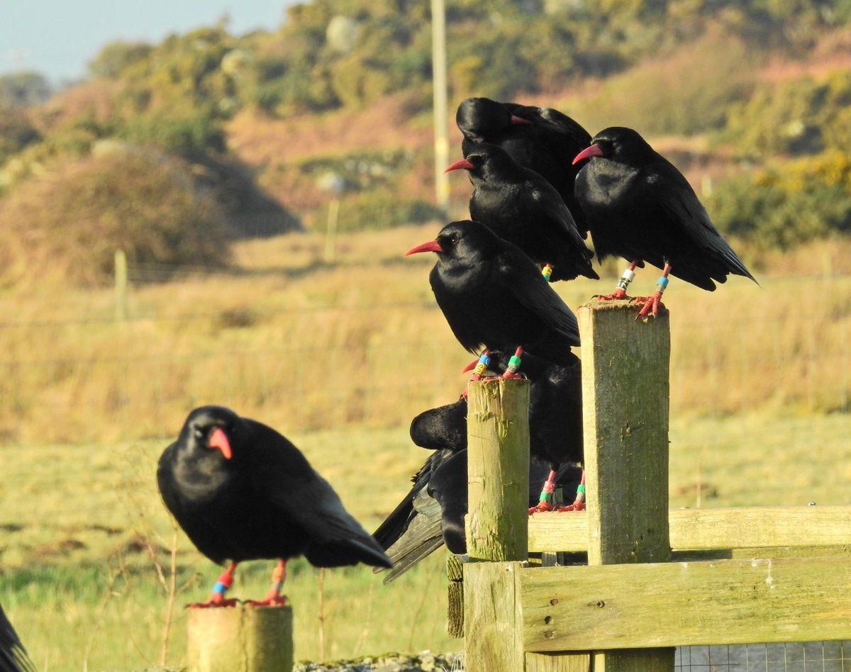 MandyForde tweet media