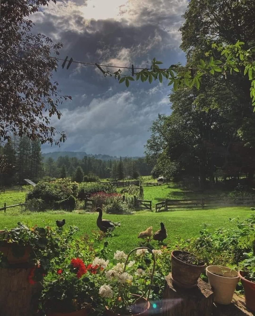 ᅠ ᅠ (@greendreaams) on Twitter photo 