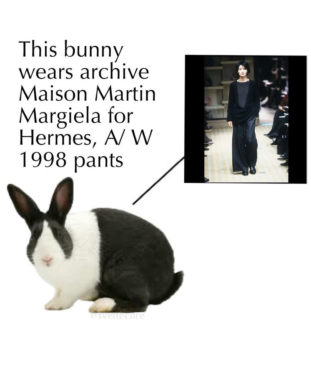 Bunnies's tweet photo. https://t.co/XWQcIxZWrA