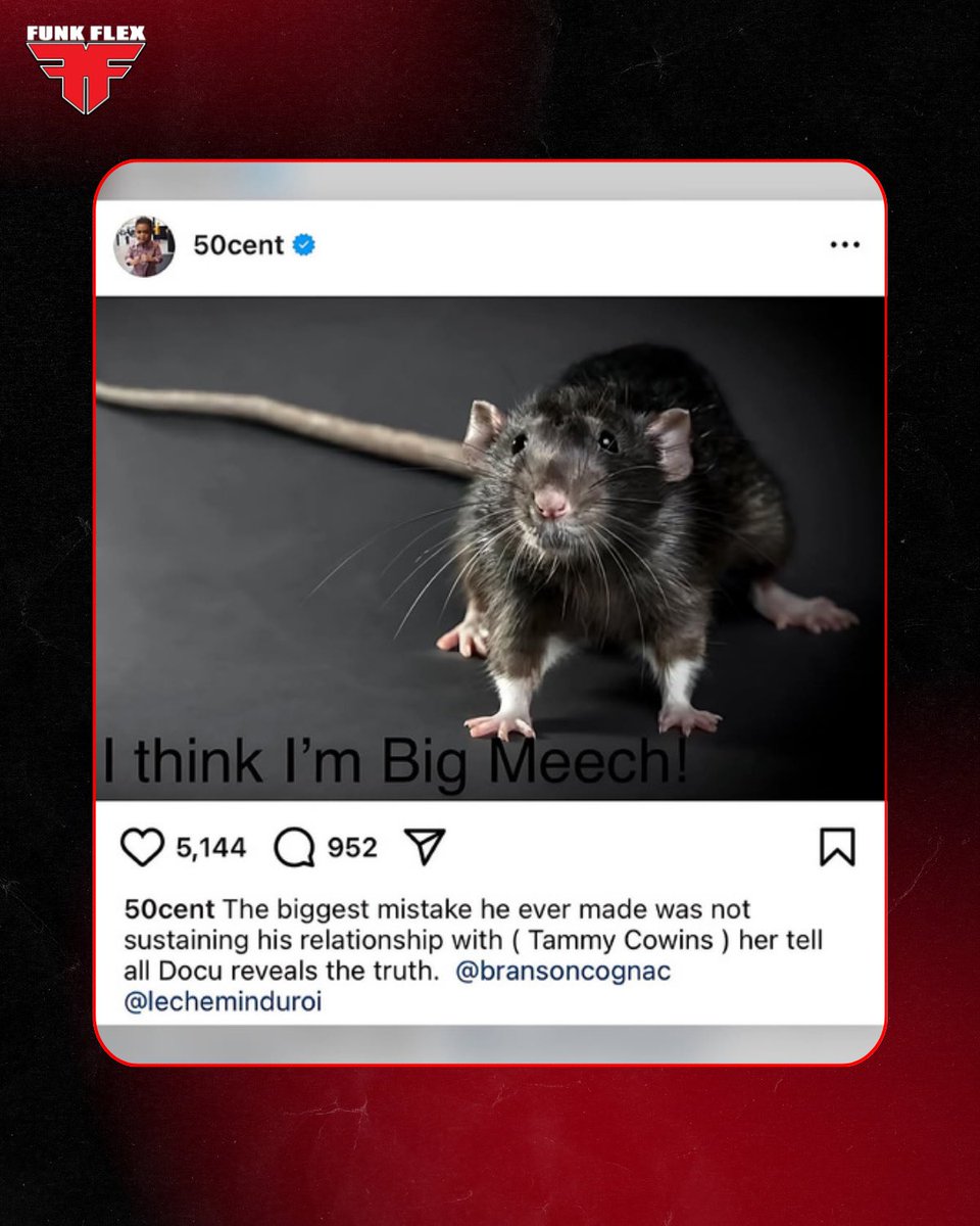Tweet media two