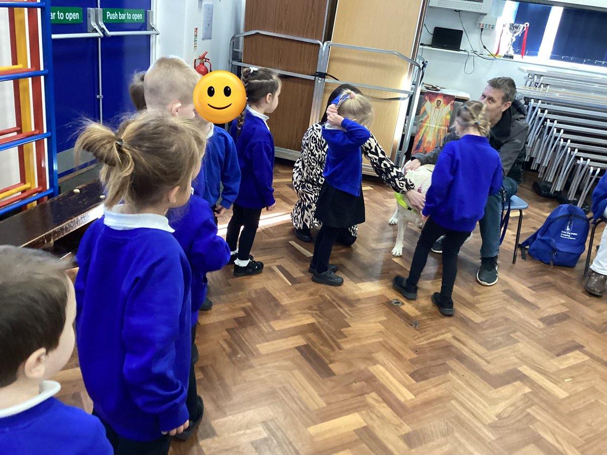 lowerhalstowsch's tweet photo. Acorn Class enjoyed visiting Newington C of E Primary School to listen to a talk from the Guide Dog Association.  The highlight of our visit was getting to stroke and cuddle the two guide dogs who had come to visit. @guidedogs #activelearning https://t.co/qTyPaAuvRA