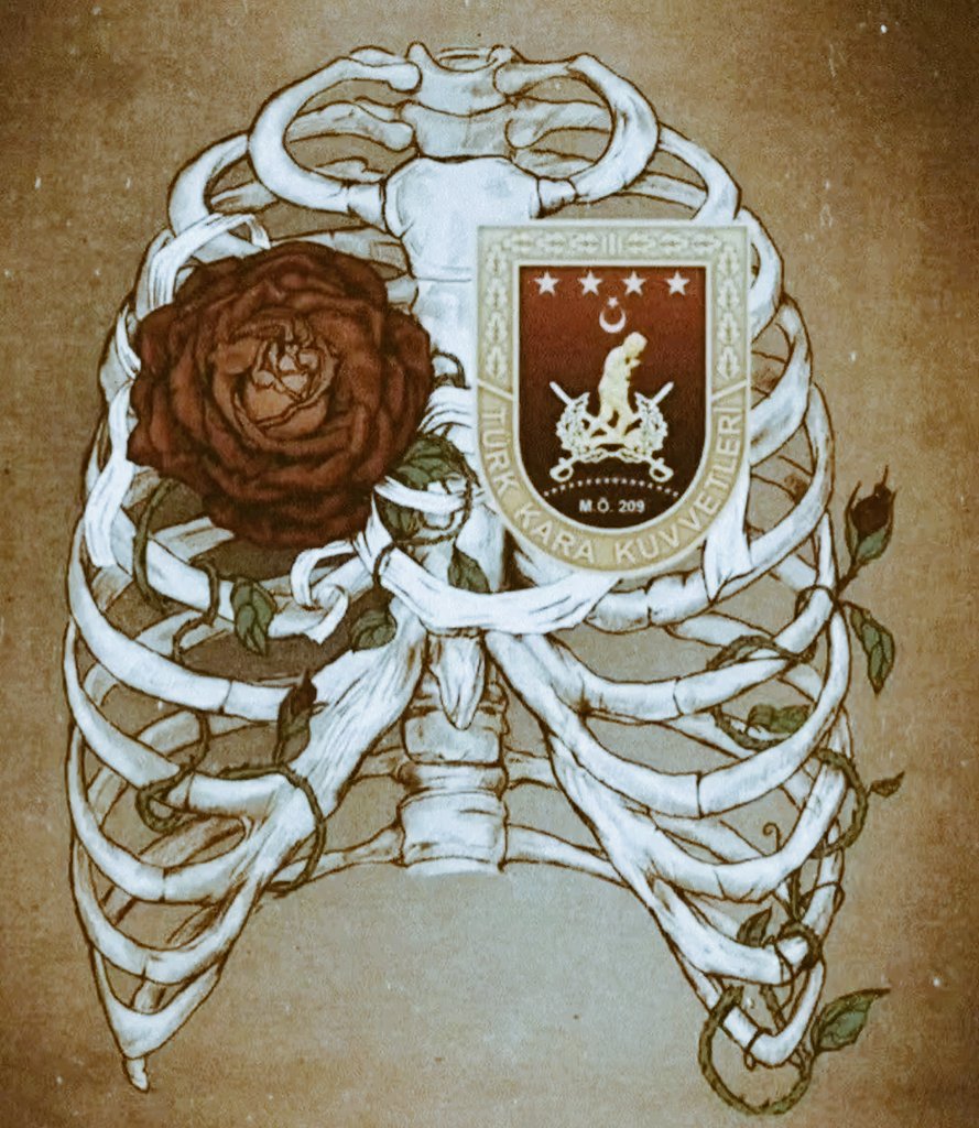 Selman Akarsel tweet media