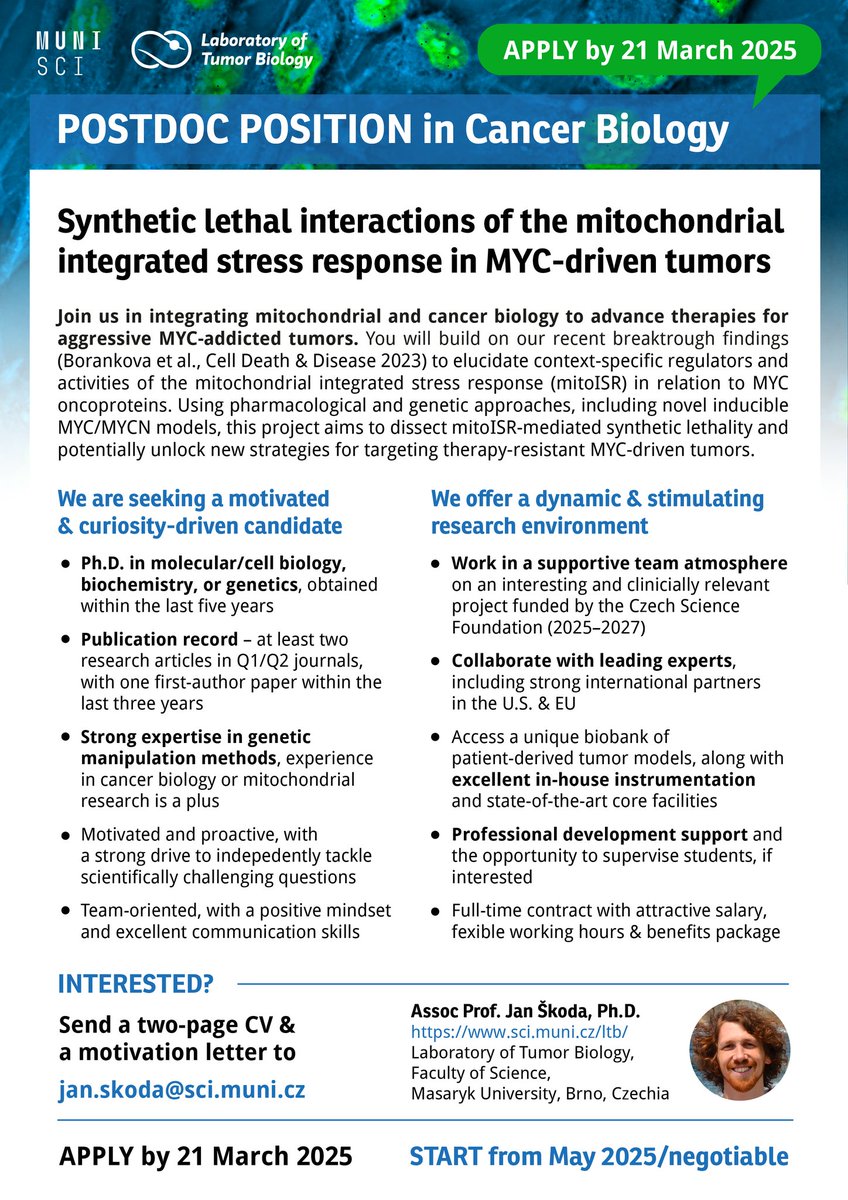 Jan Škoda (@skodalab) on Twitter photo 🚨 We're hiring! A 2.5-year (full-time) #Postdoc position available in my lab <a href="/muni_cz/">Masarykova univerzita</a>. 👇 Apply now & join us to study mitochondrial synthetic lethality in MYC-driven tumors. 📅 Deadline: 21 March 2025. (official e-application link will follow)
Please repost 💚 🚨 We're hiring! A 2.5-year (full-time) #Postdoc position available in my lab <a href="/muni_cz/">Masarykova univerzita</a>. 👇 Apply now & join us to study mitochondrial synthetic lethality in MYC-driven tumors. 📅 Deadline: 21 March 2025. (official e-application link will follow)
Please repost 💚
