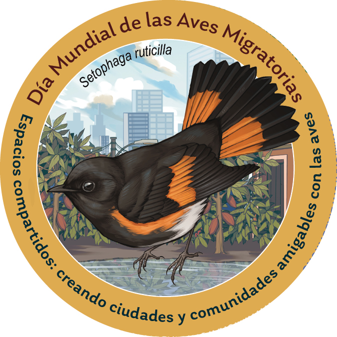 enviroamericas's tweet photo. Acciones simples para habitar con las aves en nuestras ciudades y comunidades.
Apoye el café y otros cultivos amigable con las aves
Espacios compartidos: creando ciudades y comunidades amigables con las aves.
Ilustración: @anianimates.savarino
#DMAM2025 #WMDB2025 https://t.co/chLSakUbDJ