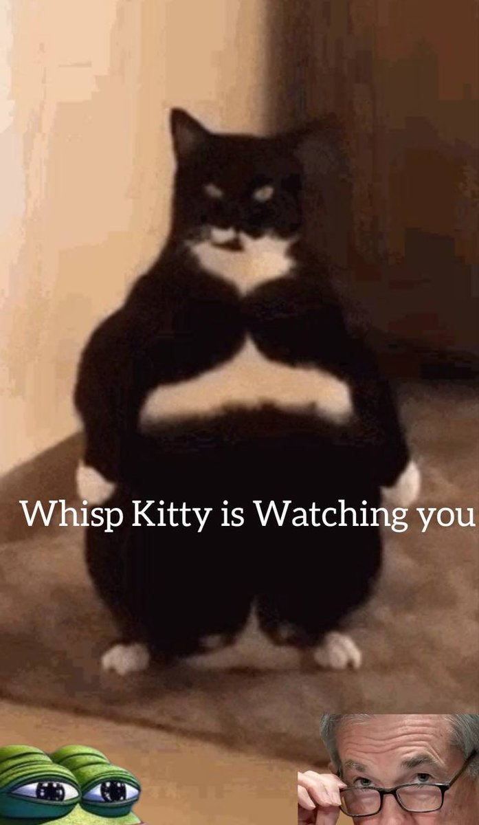 content creation bounty 🤫
we love the memes coming out of our discord server, and it’s time to level up the game!

🔳 create content about whisp
🔳 post it on X
🔳 tag <a href="/whispersai/">whispers</a>
🔳 send the link on our discord server

top 10 creators will be rewarded in $whisp 🫶