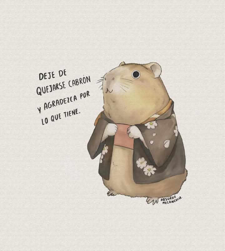 Absurda Melancolía tweet media