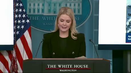 Hawkesbay69's tweet photo. Trump fighting for woman's sports the left were fighting for men in woman's sports,  I know who I support.  teamsanity https://t.co/H5LMT56P6e