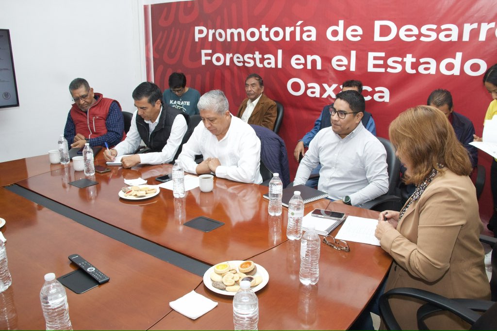 COESFO_GobOax's tweet photo. Como parte de la coordinación interinstitucional y seguimiento de acuerdos del Subcomité de prevención y combate de incendios forestales de la zona Istmo-Chimalapas, nuestra directora general, @malecoecast se reunió con instituciones estatales y federales. https://t.co/yt1VmSztTB