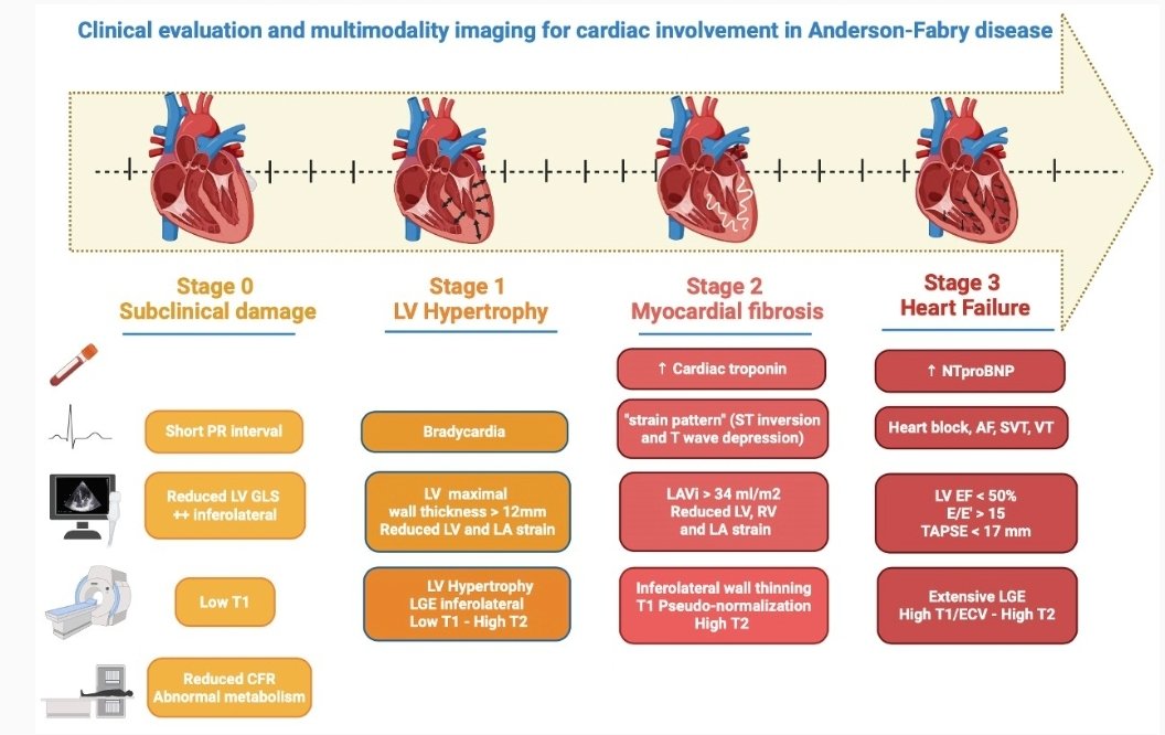 Matteo Cameli, MD, PhD (@matte_cameli) on Twitter photo 🔥🔥🔥Role of #imaging for the management of Anderson-Fabry #cardiomyopathy : from #echofirst to #whyCMR, #yesCT and #cvnuc, why, when and how to use them! Read the new <a href="/escardio/">European Society of Cardiology</a> M&PD WG and #EACVI Consensus published in <a href="/EHJCVIEiC/">EHJCVI Editor-in-Chief</a> !
<a href="/mauripieroni72/">Maurizio Pieroni</a>
academic.oup.com/ehjcimaging/ad… 🔥🔥🔥Role of #imaging for the management of Anderson-Fabry #cardiomyopathy : from #echofirst to #whyCMR, #yesCT and #cvnuc, why, when and how to use them! Read the new <a href="/escardio/">European Society of Cardiology</a> M&PD WG and #EACVI Consensus published in <a href="/EHJCVIEiC/">EHJCVI Editor-in-Chief</a> !
<a href="/mauripieroni72/">Maurizio Pieroni</a>
academic.oup.com/ehjcimaging/ad…