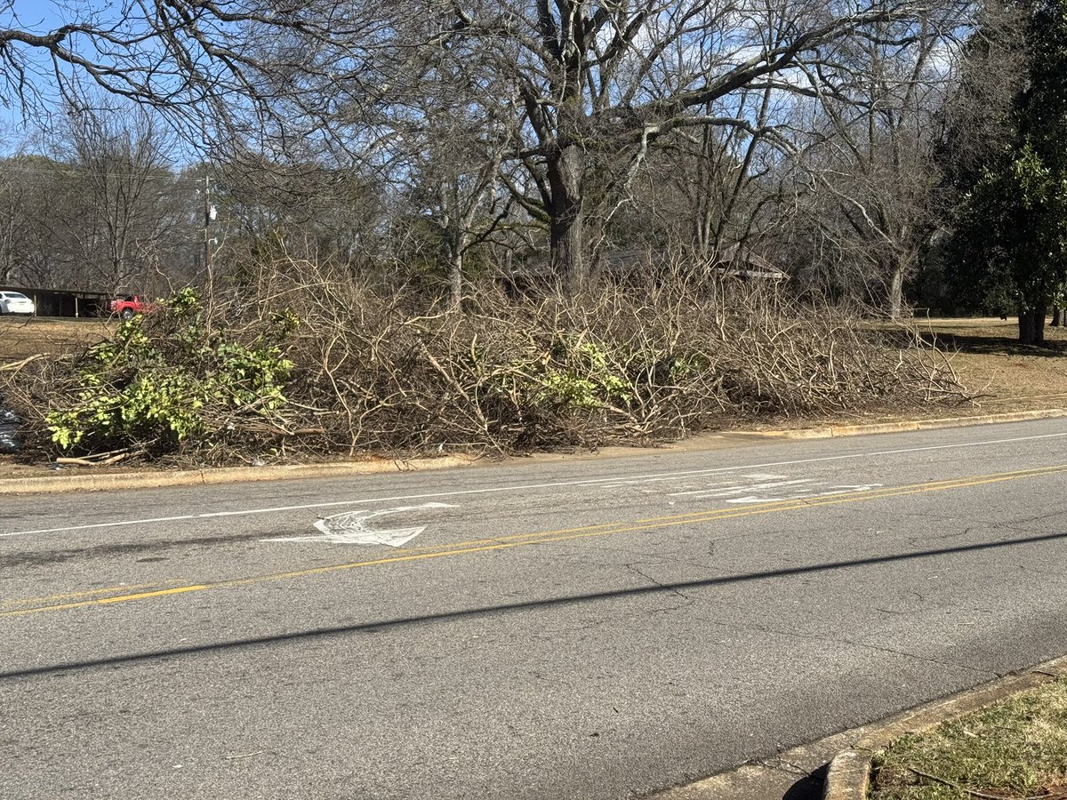 Banks Jets Basketball tweet media