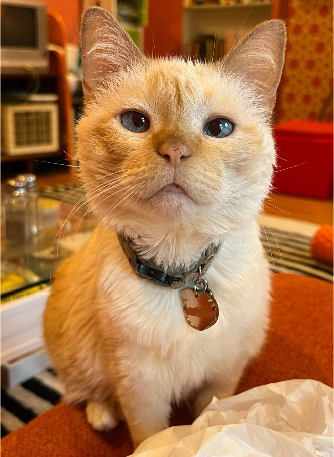 amy, esq. tweet media