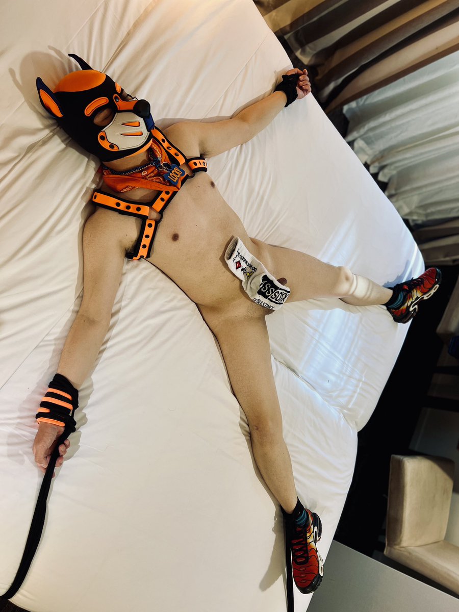 LockyPup's tweet photo. Is that @LockyPup getting all tied up again 🤔. Sort of, might have convinced @Xylonnz to take my place. Oh boy, he was way too hard to be lock in my cage this time🤣😈. Trip to Auckland was fun https://t.co/2TB3h4tE2m
