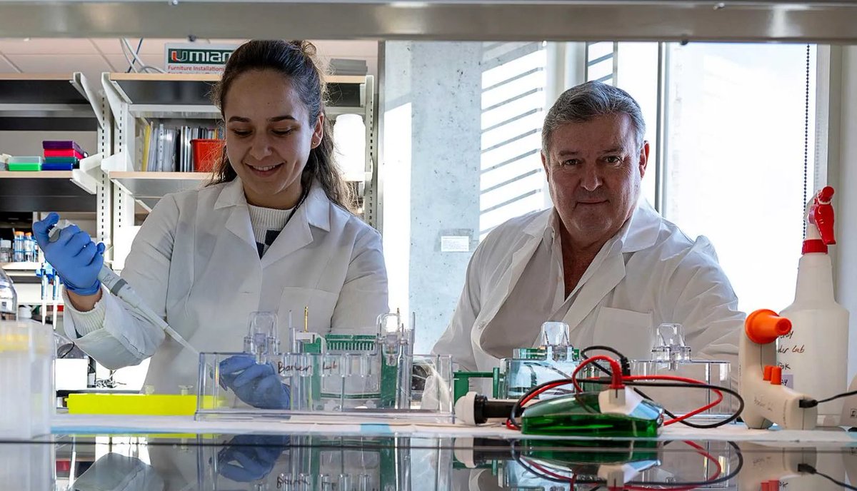 OhioStatePIIO's tweet photo. Congrats👏 to @OSUCCC_James, @OhioStateSurg, #PIIO researcher Dr. @GlenBarberLab for his continued groundbreaking work on #InnateImmunity & #cancer_therapies, featured in https://t.co/k5Rwq7lRUS via @OSUWexMed🌟👏
#InnateImmunity #CancerResearch #STINGPathway https://t.co/jSaFSwFsUZ